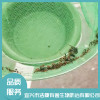 白蟻防治