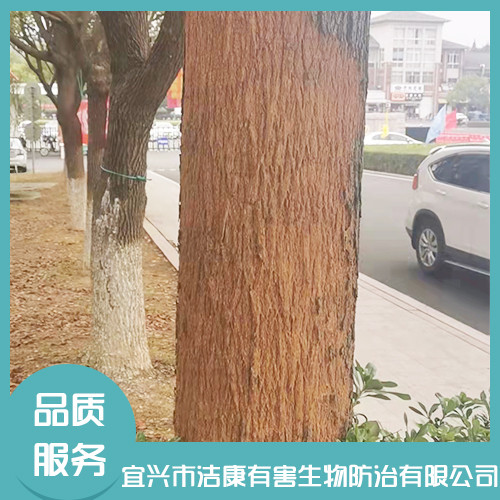 白蟻防治