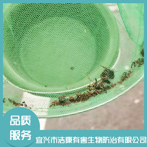 白蚁防治