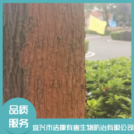 白蟻防治