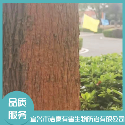 白蟻防治