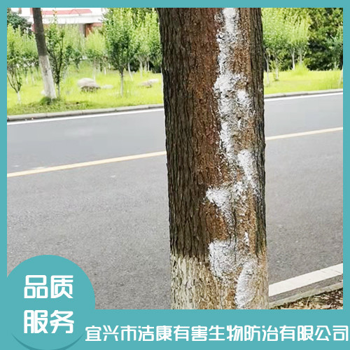 白蚁防治