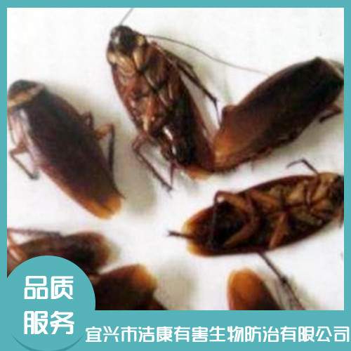 除四害