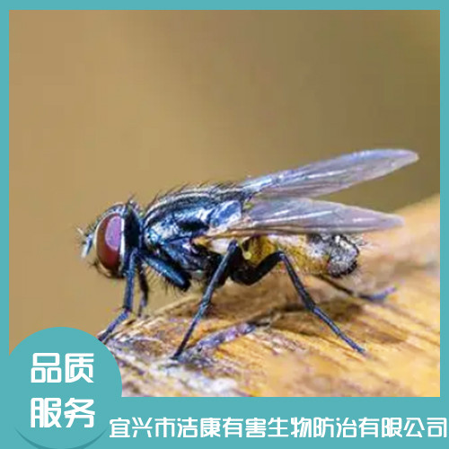 除四害公司