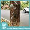 公司家庭白蟻防治