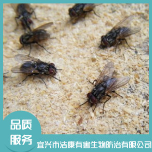 除四害公司