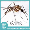 除四害公司