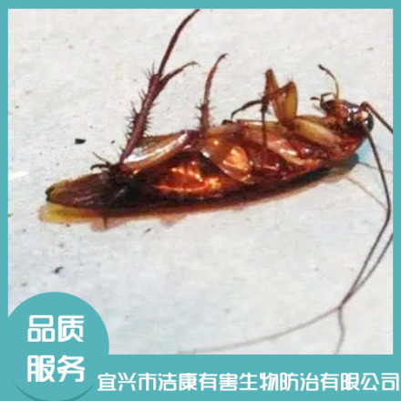 江蘇除四害