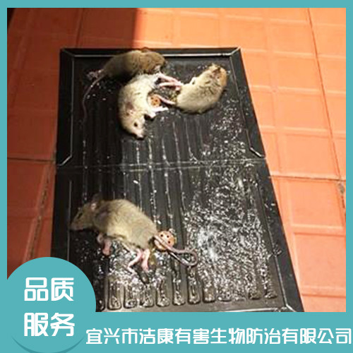 家庭除四害 家庭除四害