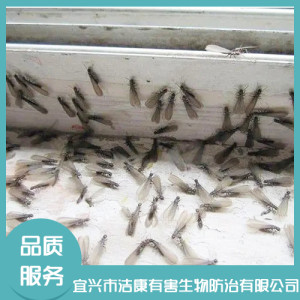 公司家庭白蟻防治