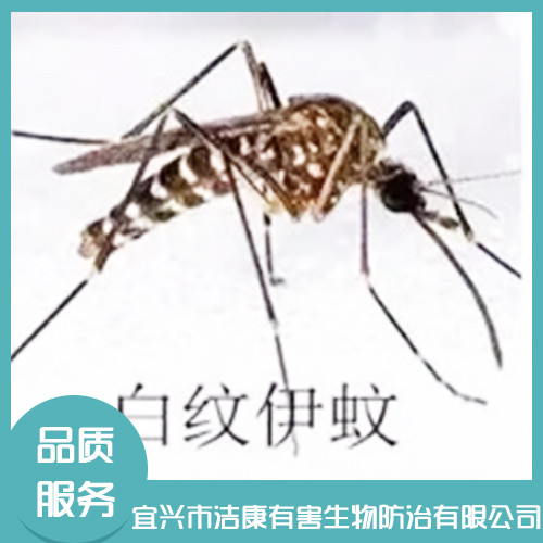 除四害公司