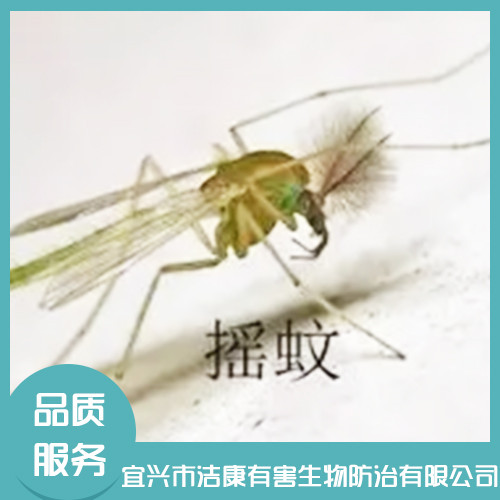 除四害公司