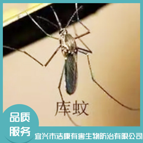 除四害公司