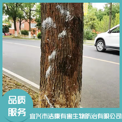 公司家庭白蟻防治 公司家庭白蟻防治
