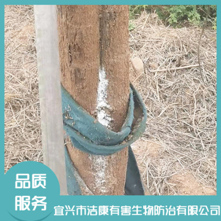 公司家庭白蟻防治