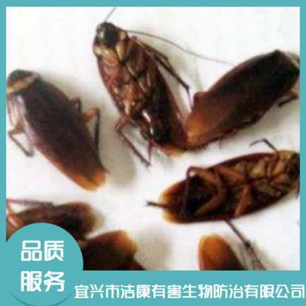 除四害