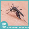 除四害公司