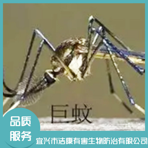 除四害公司