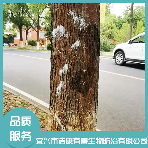 家庭公司灭白蚁 家庭公司灭白蚁