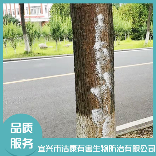 灭白蚁 灭白蚁