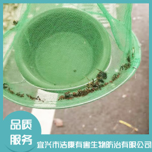 滅白蟻