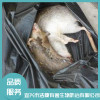 無(wú)錫滅老鼠