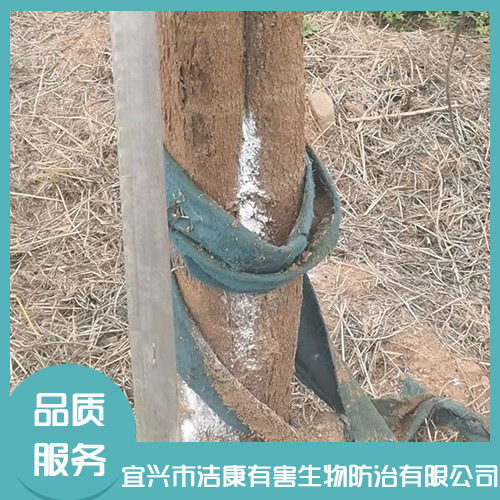 家庭公司灭白蚁 家庭公司灭白蚁