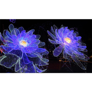 歲歲百合花