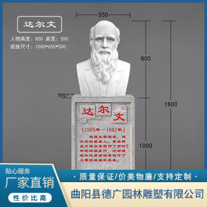 達(dá)爾文胸像