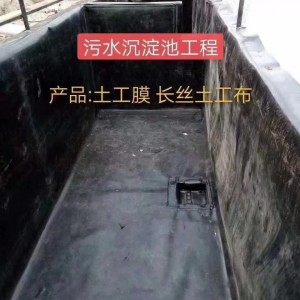 污水沉淀池工程 土工膜 長絲土工布