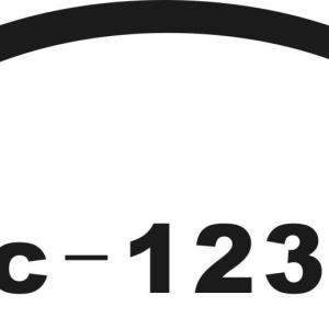 123131