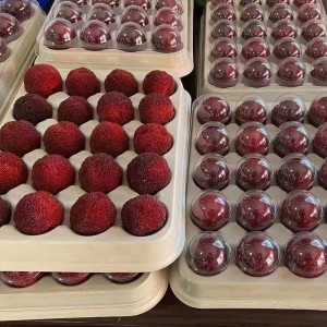 沃森 生鮮水果包裝盒12粒裝楊梅外賣打包盒 可堆肥降解餐具