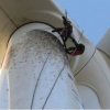 濰坊風力發電機組清洗 濰坊風電塔筒葉片清洗維護 濰坊風電設備高空清洗維護