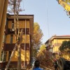 西安市樹木修剪，大樹移栽，伐樹整形，樹木養(yǎng)護(hù)，樹枝垃圾清運(yùn)