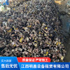 江西再生回收廢鐵價(jià)格 廢鐵回收廠家 廢工業(yè)鐵回收 高價(jià)回收廢鐵廠家 江西明昌設(shè)備租賃有限公司
