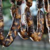 紹興特產(chǎn)土豬肉香腸批發(fā) 正宗土豬肉香腸哪家好 農(nóng)家土豬肉香腸價格 紹興董仁記食品