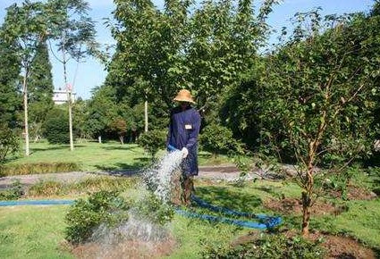 園林綠化養(yǎng)護(hù)