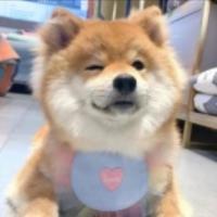 沈雪超