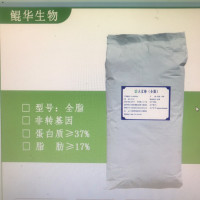 食品級非轉基因活性大豆粉全脂大豆蛋白粉生產廠家