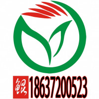 張亞飛