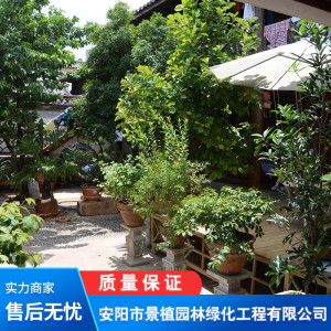 造景養護