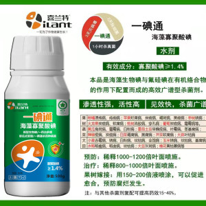 桃樹縮葉病防治方案一碘通寡聚酸碘制劑專治桃樹縮葉病小葉病