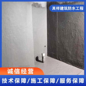 江蘇衛(wèi)生間防水公司