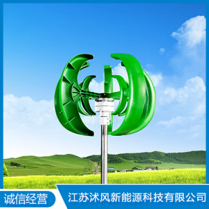 双涡轮绿色五叶风力发电机