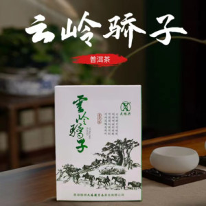云嶺驕子普洱茶