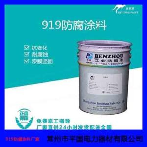 919防腐涂料廠家