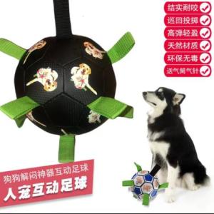 寵物互動足球