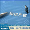 知識(shí)產(chǎn)權(quán)服務(wù)