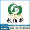 專業(yè)LOGO設(shè)計