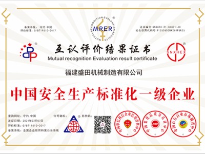 中國安全生產(chǎn)標準化一級企業(yè)